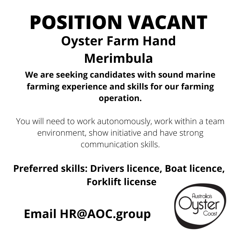 nsw oysters - employment - oceanwatch australia